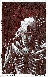 Paradox Cultist